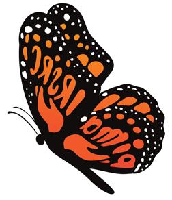 IRSRC蝴蝶标志